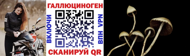 что такое наркотик  Рыльск  Псилоцибиновые грибы Psilocybine cubensis 